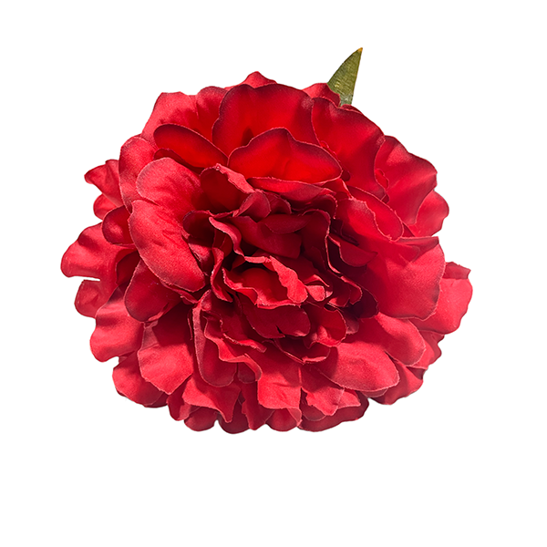 Peonia Roja - BOCANA